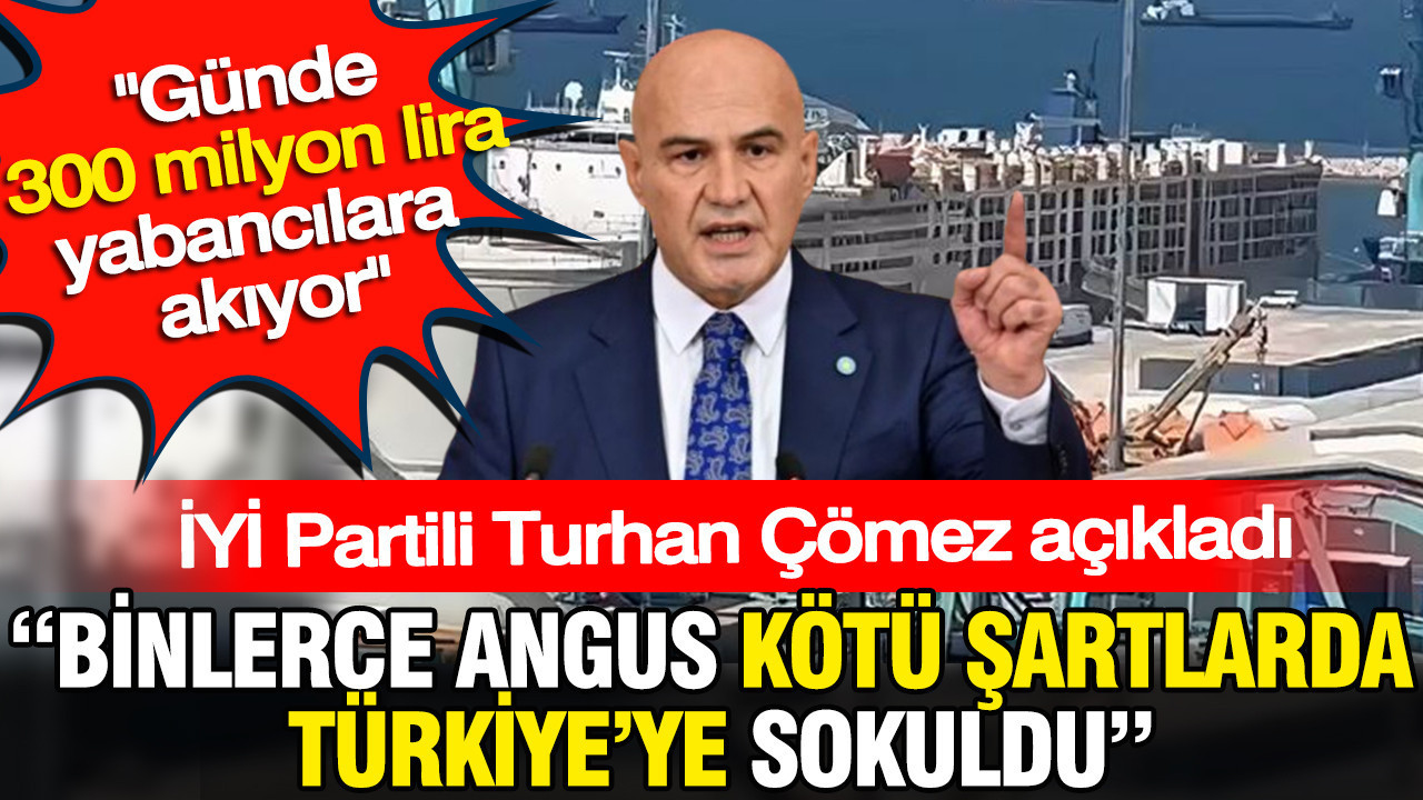Binlerce angus kotu sartlarda turkiyeye sokuldu gunde 300 milyon lira yabancilara akiyor GUMEEcJa