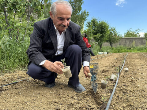 Hakkarili ciftci ata tohumlariyla uretime meydan okuyor 32 yildir vazgecmedi V1HZbmEH
