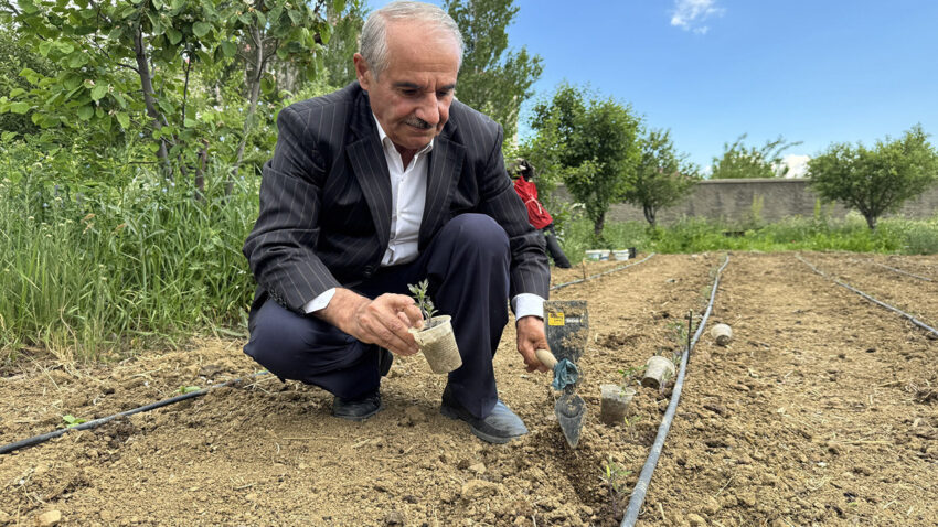 Hakkarili ciftci ata tohumlariyla uretime meydan okuyor 32 yildir vazgecmedi V1HZbmEH