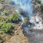 Son dakika adanada orman yangini kabusu ekipler seferber oldu HiOTKyjF